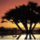 African Holidays