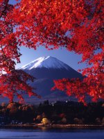 Stunning Mount Fuji Holidays