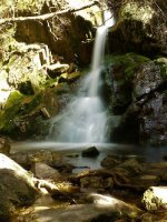 Cradle Mountain Waterfall