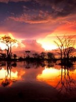 Beautiful Etosha National Park Safari