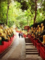 Amazing Ten Thousand Buddhas Tours