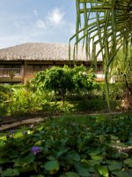 Garden View Room Hotel Maitai Polynesia Bora Bora