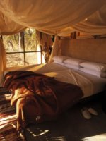 Sandibe Safari Lodge Botswana