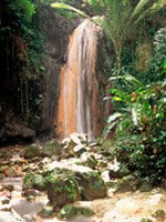 St Lucia - Nature