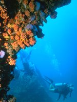 Trinidad & Tobago - Scuba