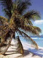 Antigua - a beach for every day of the year
