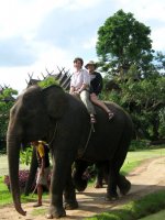 Thailand elephant ride