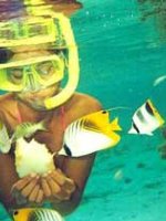 Thailand snorkelling