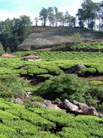 India Holidays - tropical climate