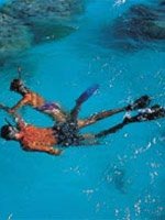 Bora Bora - diving