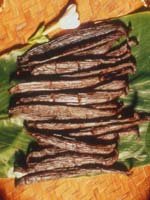 Tahiti - food