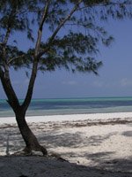Zanzibar - romantic beaches