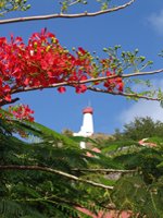 St Barths - climate