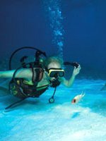 Bermuda - Diving
