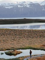 Iceland - scenary
