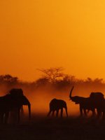 Namibia1