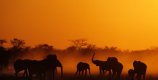 Holidays in Namibia