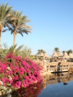 Sharm 1