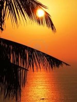 Andaman Sea Phi Phi