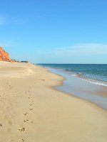 The Beach
