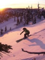 Whistler-skiing