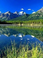 Lake-louise-icefields