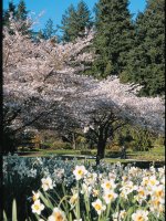 Stanley Park Vancouver