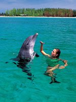 Bahamas Holidays - Get close to nature