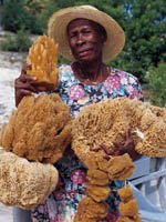 Bahamas Holidays - Traditional Island Life