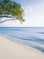 Barbados Holidays - Island Paradise