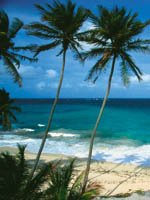 Barbados Holidays - The ultimate tropical paradise
