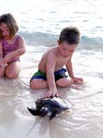 Cayman Islands Holidays - Family Holidays