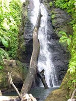 Grenada Holidays - amazing waterfalls