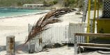 Holidays in St Kitts & Nevis
