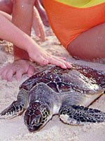 Trinidad & Tobago Holidays - get close to natures wonders