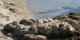 Holidays in Sardinia