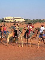 Dubai camel ride