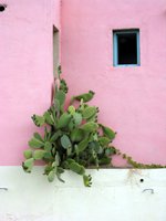 Corsica Holidays - plenty of local colour