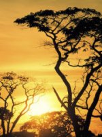 Botswana Holidays