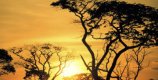 Holidays in Botswana