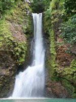 Mauritius Holidays - wonderful nature