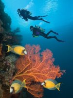 Diving In Mauritius