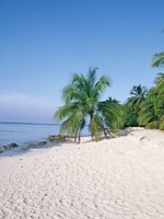 Maldives Holidays - stunning pristine beaches