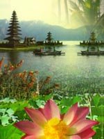 Bali Holidays - picturesque scenery