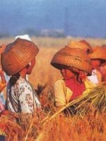 Bali Holidays - surround yourself with traditions
