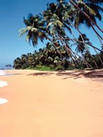 Sri Lanka - wonderful climate