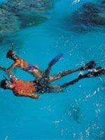 Bora Bora Holidays - amazing diving sites