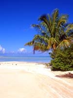 Tahiti Holidays - tropical beaches
