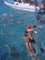 Tahiti Holidays - great diving sites