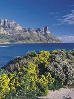 Cape Town Holidays - breath taking vistas